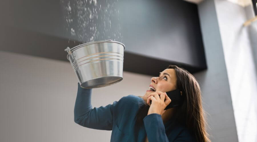 Why choose EcoPure Water Damage for water damage restoration in Wellington, AL